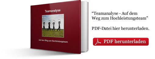 Teamanalyse - Auf dem Weg zum Hochleistungsteam: PDF Datei hier herunterladen